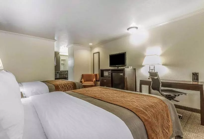 فندق Comfort Inn