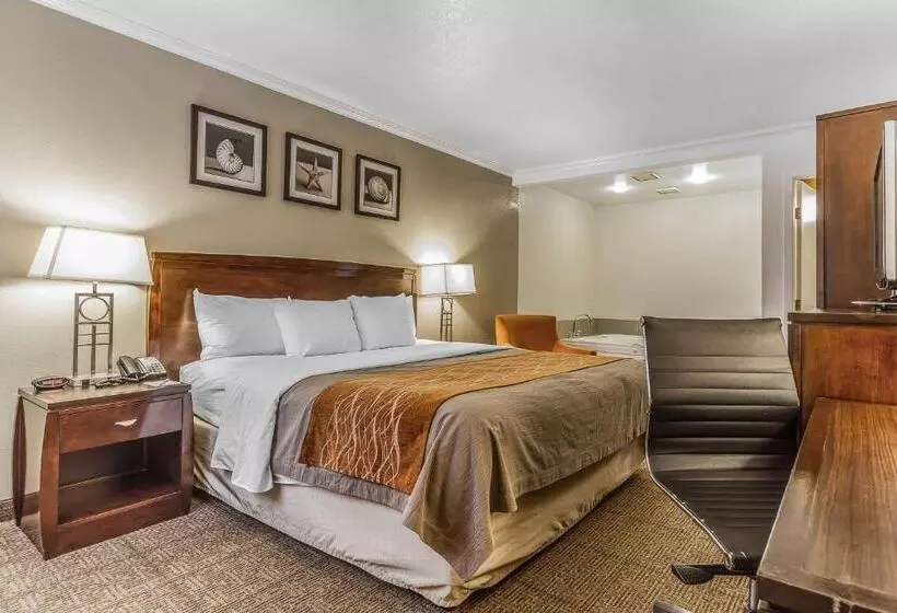 فندق Comfort Inn