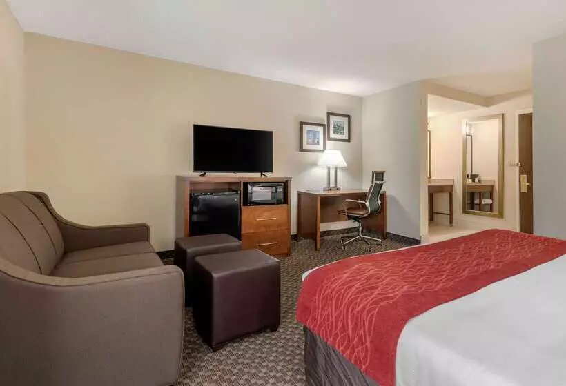 فندق Comfort Inn South