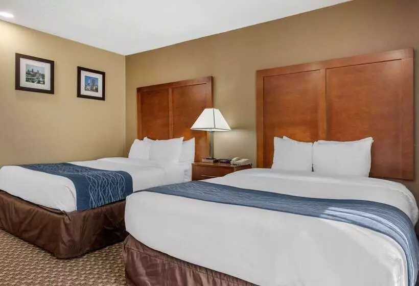 فندق Comfort Inn South