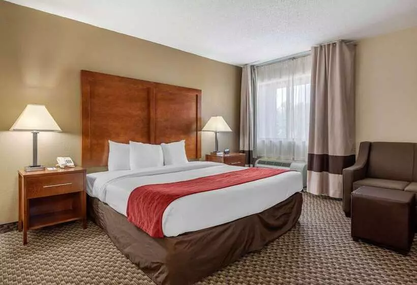 فندق Comfort Inn South