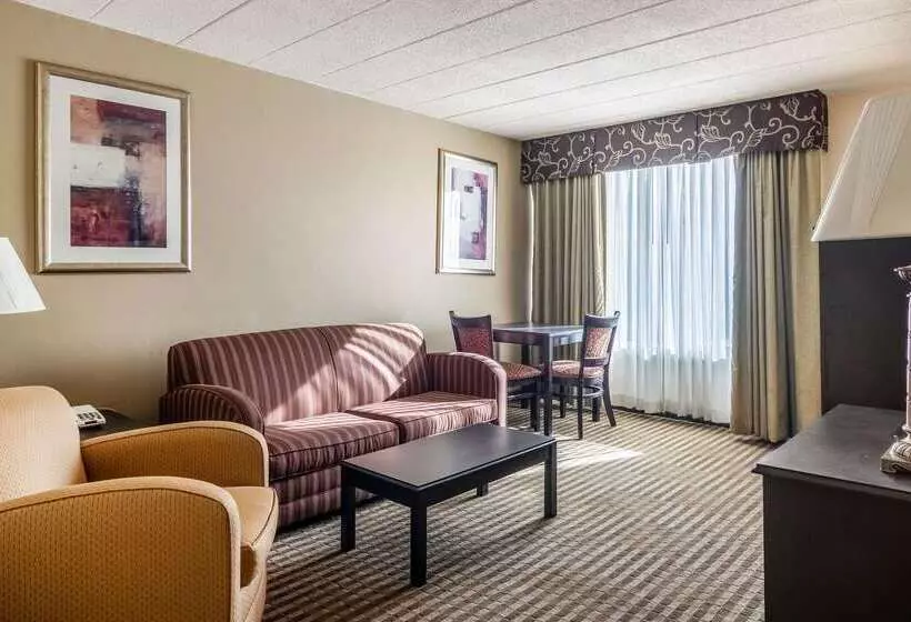 Отель Quality Inn & Suites