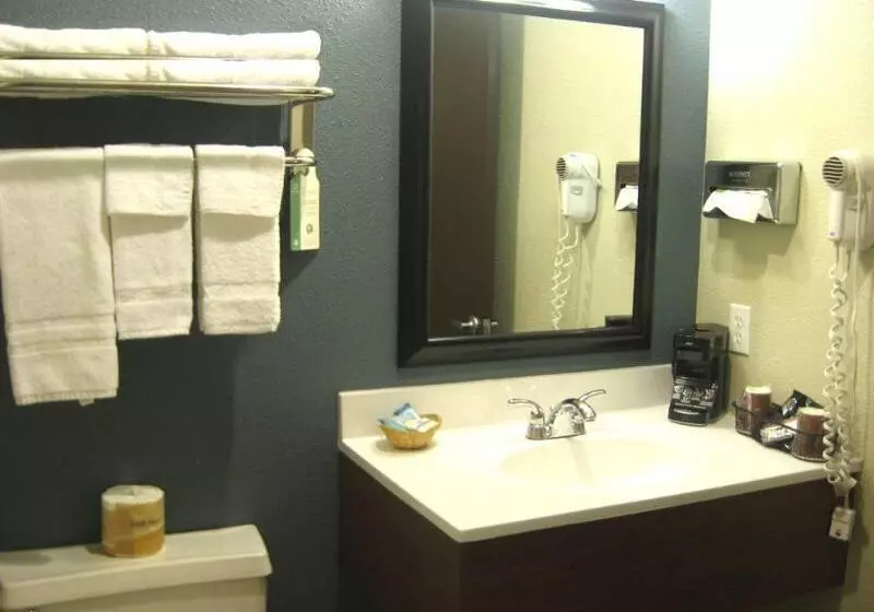 Motelli Thunderbird Lodge