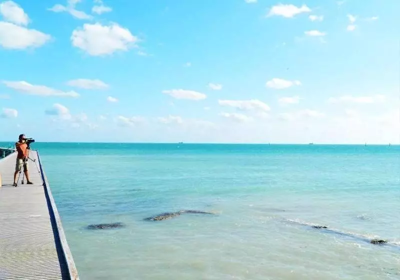 هتل Amsterdam's Curry Mansion Inn