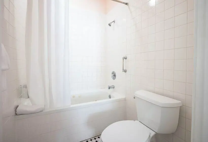 ホテル Amsterdam's Curry Mansion Inn