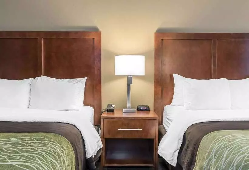 ホテル Comfort Inn & Suites Piquanear Troyi75