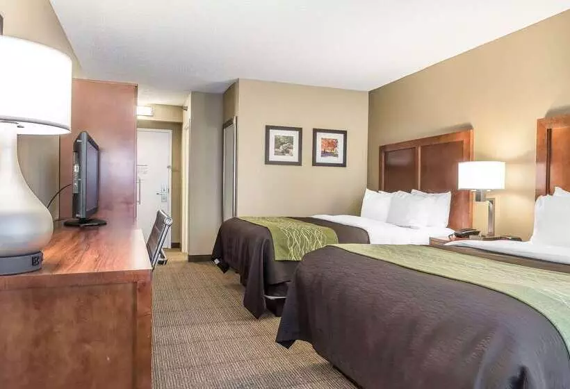 ホテル Comfort Inn & Suites Piquanear Troyi75