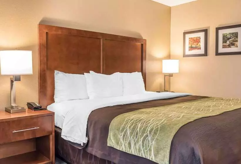 ホテル Comfort Inn & Suites Piquanear Troyi75