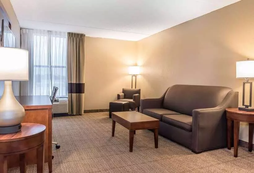 ホテル Comfort Inn & Suites Piquanear Troyi75