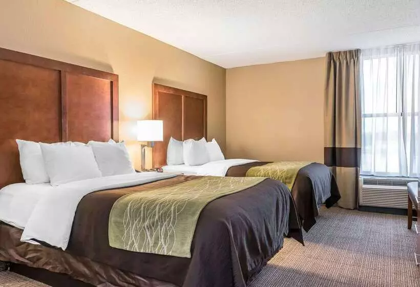 ホテル Comfort Inn & Suites Piquanear Troyi75