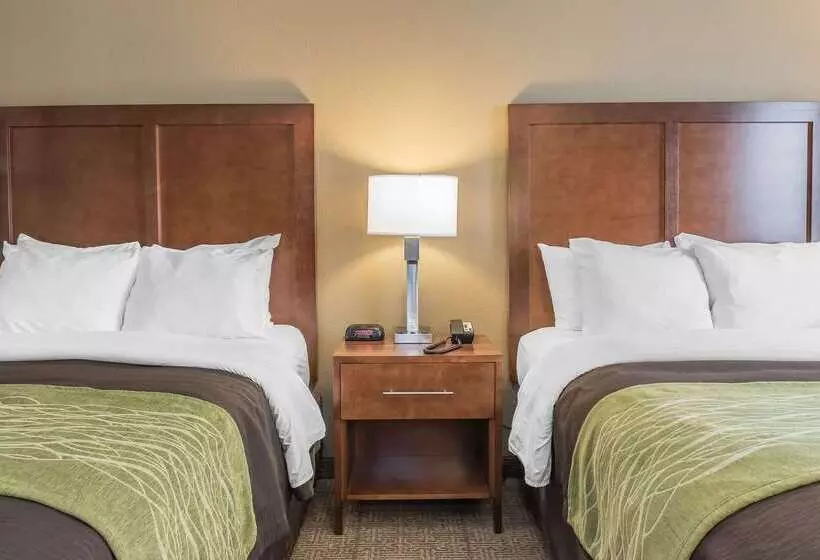 ホテル Comfort Inn & Suites Piquanear Troyi75