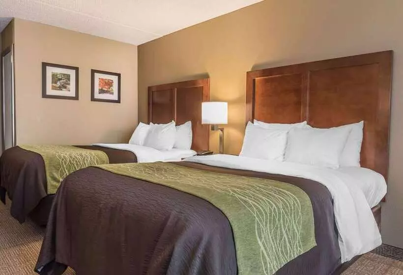 ホテル Comfort Inn & Suites Piquanear Troyi75