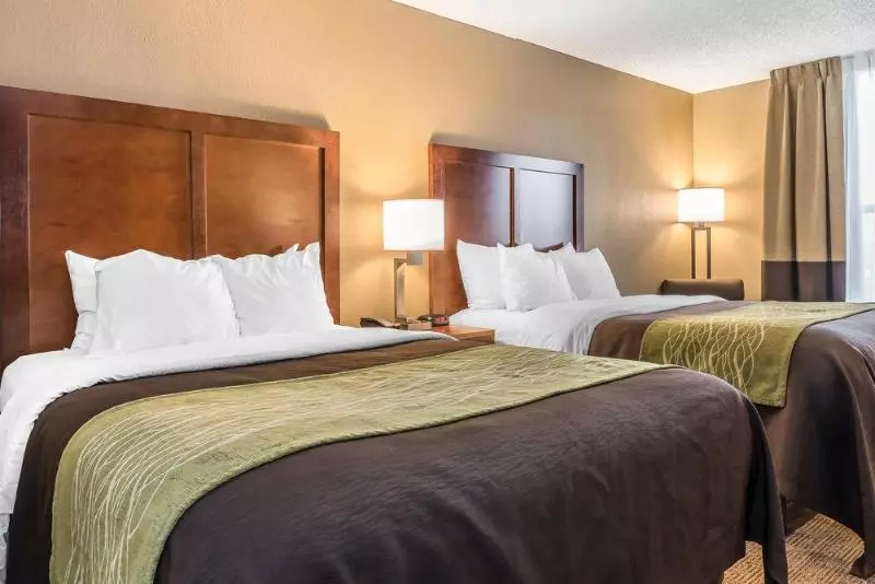 ホテル Comfort Inn & Suites Piquanear Troyi75