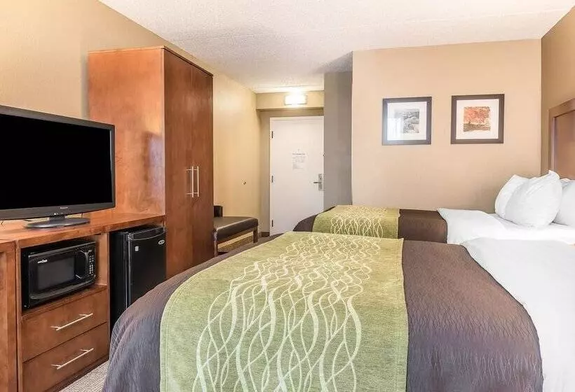 ホテル Comfort Inn & Suites Piquanear Troyi75