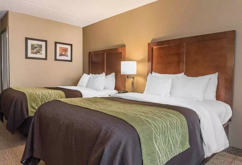 ホテル Comfort Inn & Suites Piquanear Troyi75