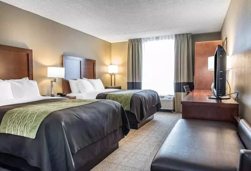 ホテル Comfort Inn & Suites Piquanear Troyi75