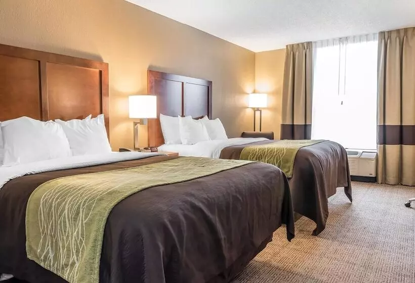 ホテル Comfort Inn & Suites Piquanear Troyi75