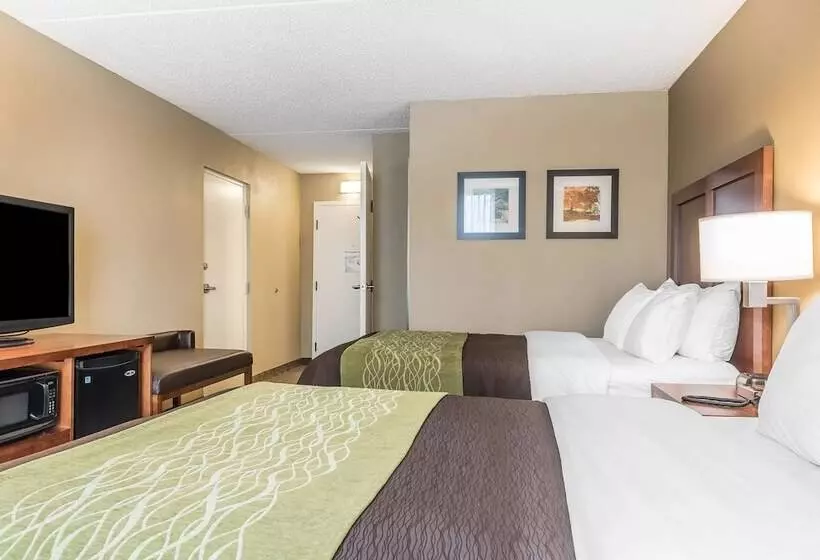 ホテル Comfort Inn & Suites Piquanear Troyi75