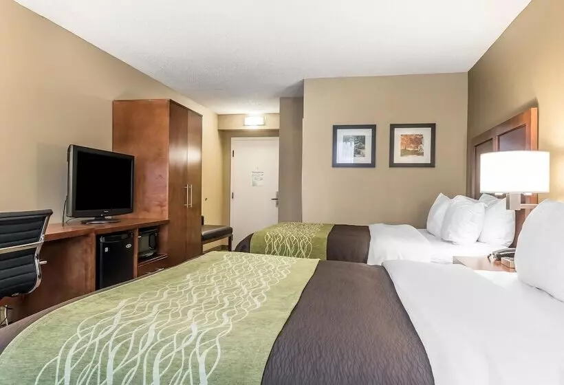 ホテル Comfort Inn & Suites Piquanear Troyi75
