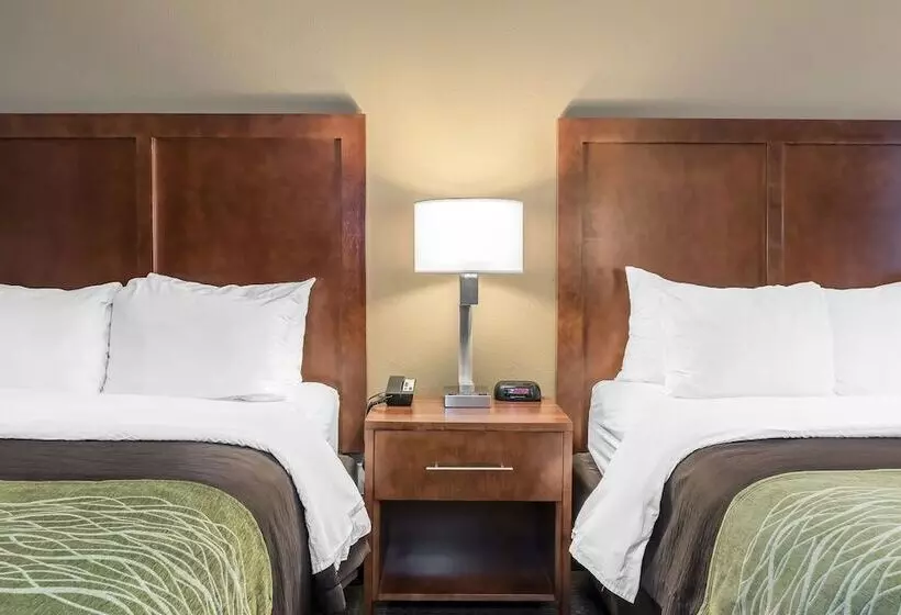 ホテル Comfort Inn & Suites Piquanear Troyi75