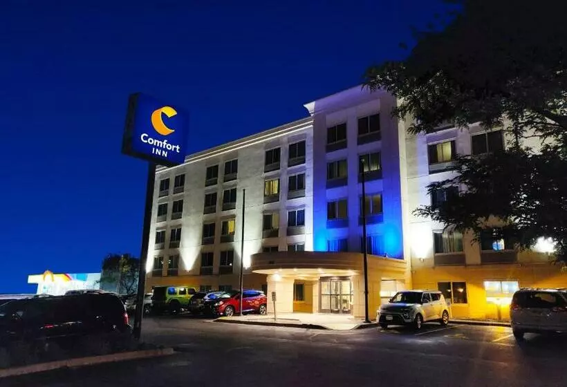 Отель Hammock  Rochester Niagara Falls