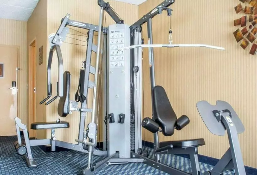 Отель Hammock  Rochester Niagara Falls