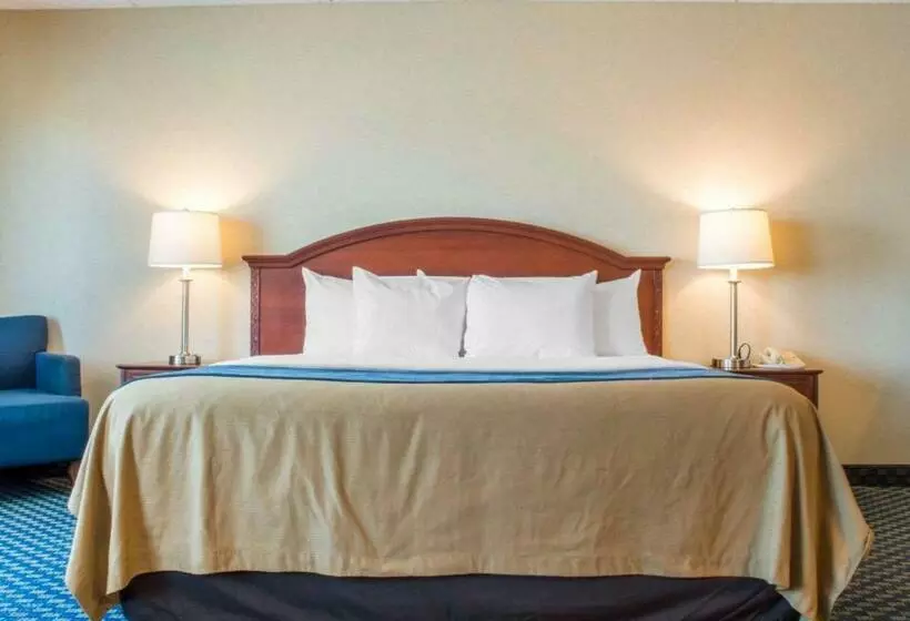 Отель Hammock  Rochester Niagara Falls