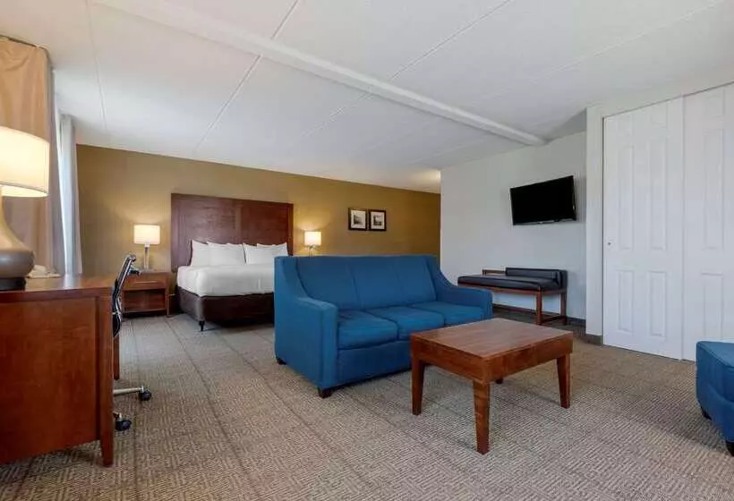 בית מלון כפרי Comfort Inn The Pointe