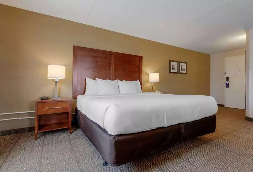 בית מלון כפרי Comfort Inn The Pointe