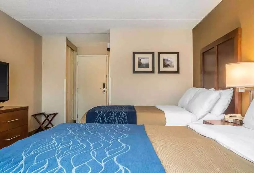 בית מלון כפרי Comfort Inn The Pointe