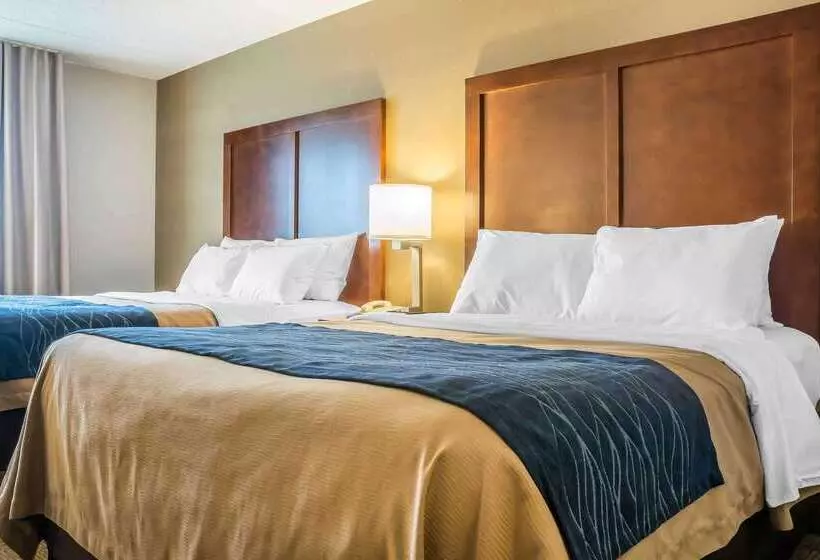 בית מלון כפרי Comfort Inn The Pointe