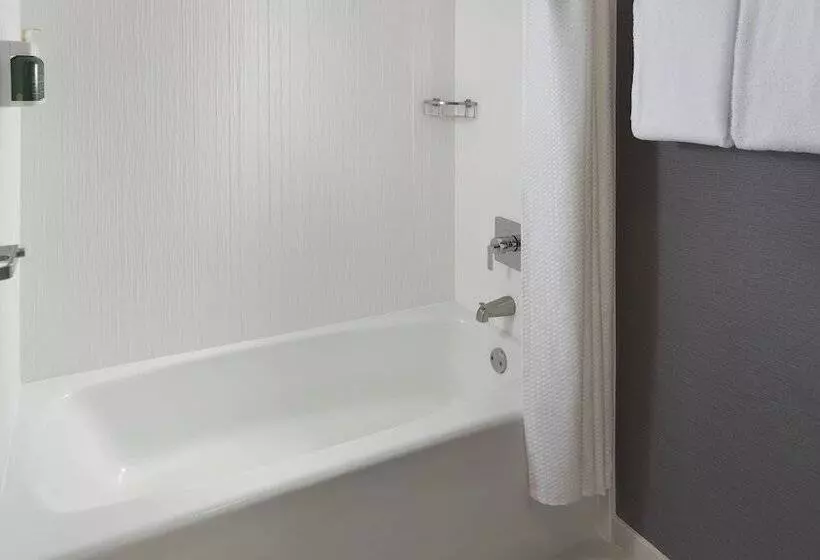 Отель Courtyard Charlotte Arrowood