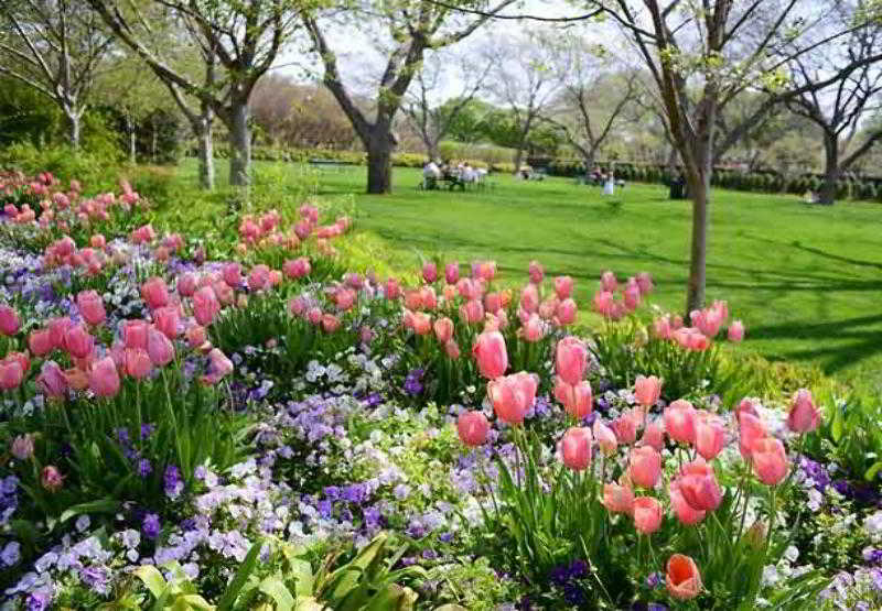 Hotel Courtyard By Marriott Dallas Richardson At Spring Valley