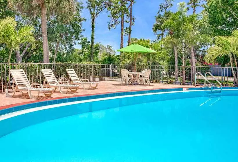 Hotel Days Inn By Wyndham Bradenton  Near The Gulf