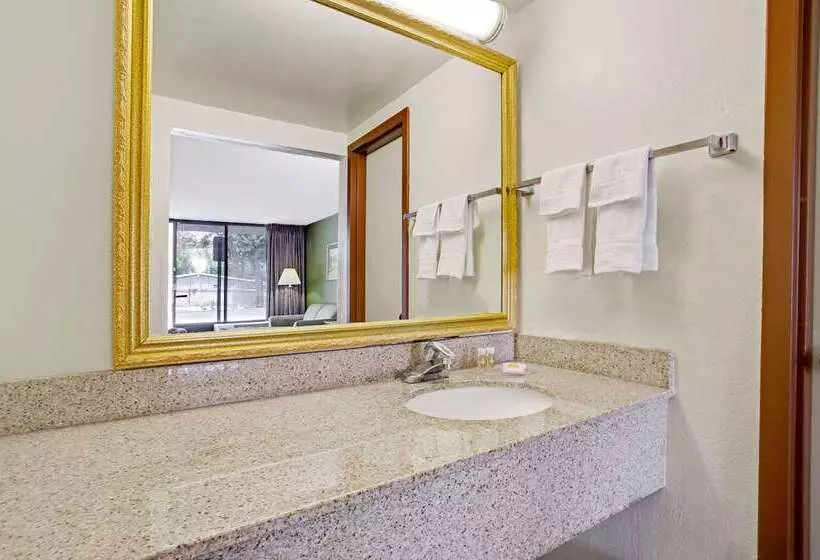 Hotel Days Inn By Wyndham Bradenton  Near The Gulf