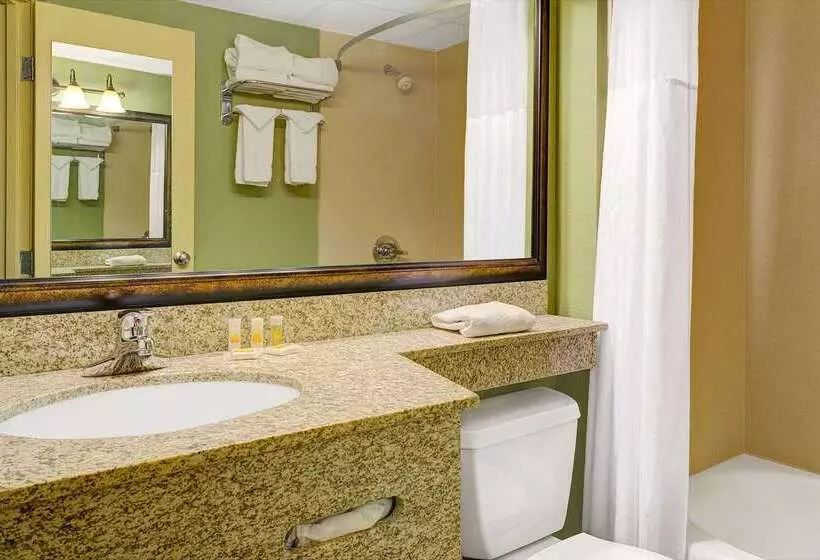 Hotel Days Inn By Wyndham Cheyenne