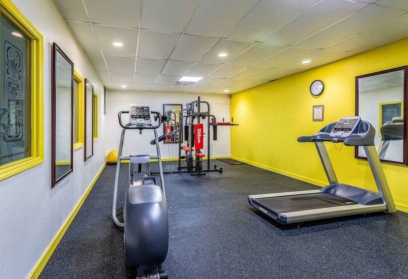 בית מלון כפרי Americas Best Value Inn Fredonia Ny