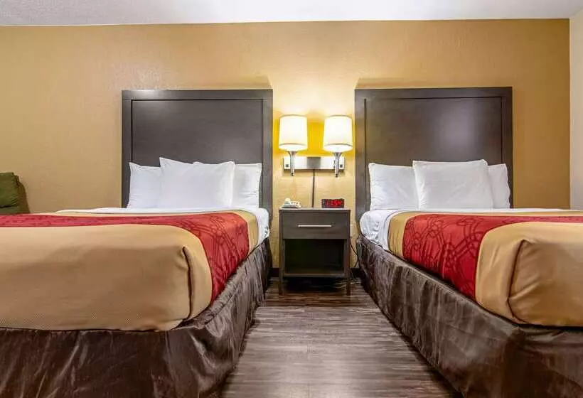 ホテル Econo Lodge Inn & Suites Matthews Charlotte