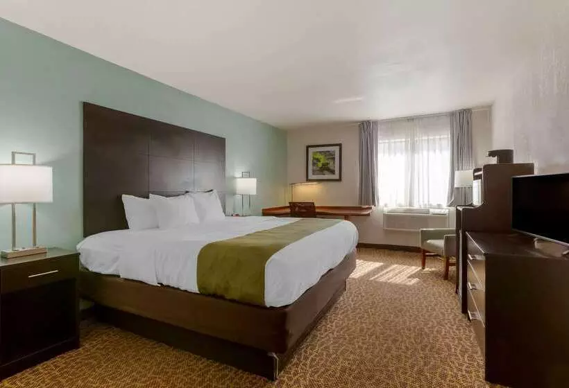 Szálloda Quality Inn Alexis Rd