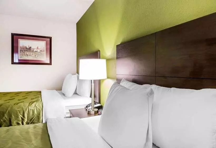 Отель Quality Inn