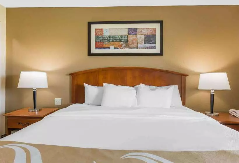 فندق Quality Inn & Suites Sevierville  Pigeon Forge
