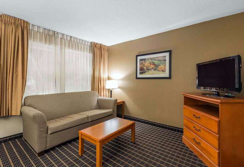فندق Quality Inn & Suites Sevierville  Pigeon Forge