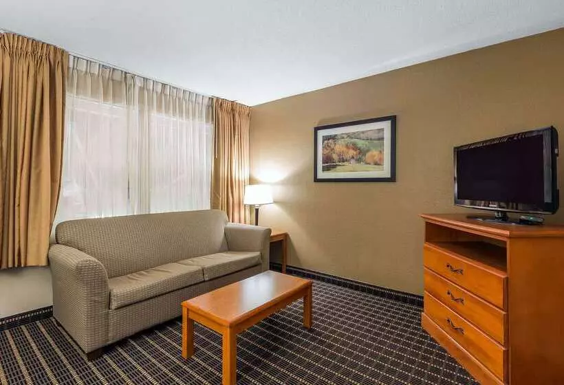 فندق Quality Inn & Suites Sevierville  Pigeon Forge