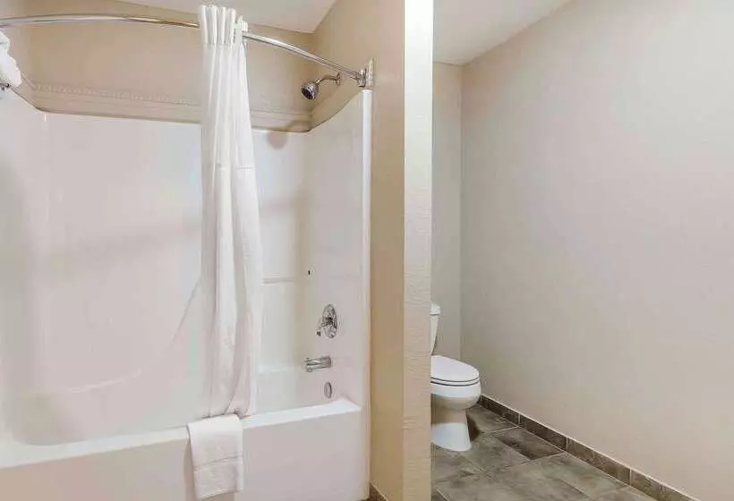 فندق Quality Inn & Suites Sevierville  Pigeon Forge