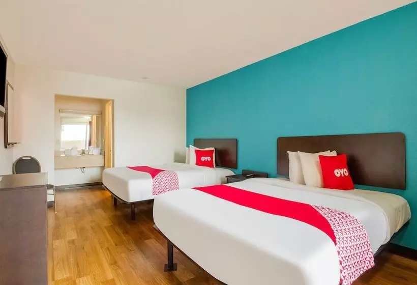 فندق St. Louis Lambert Airport