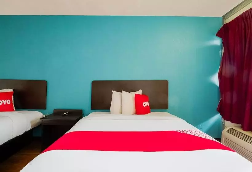 فندق St. Louis Lambert Airport