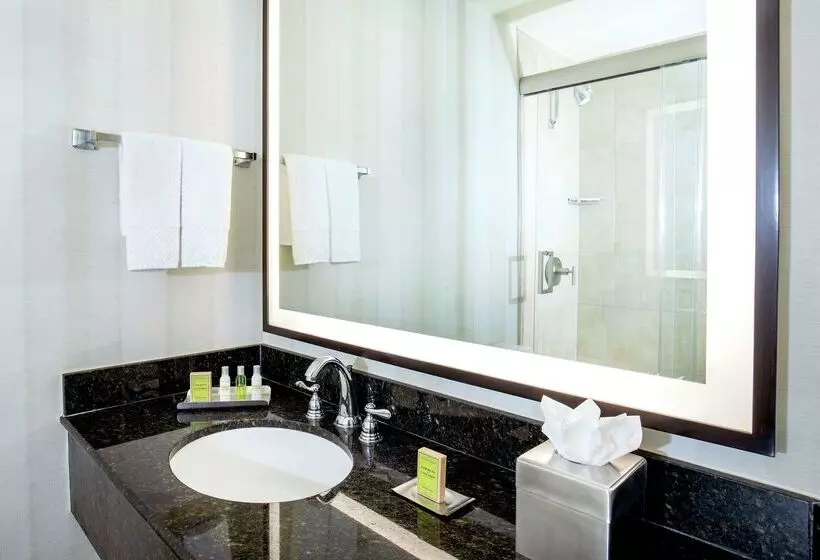 Doubletree By Hilton Hotel Nashville Downtown