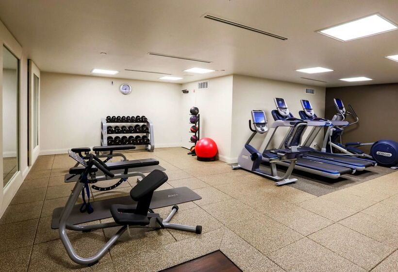 Doubletree Suites By Hilton Hotel Mcallen