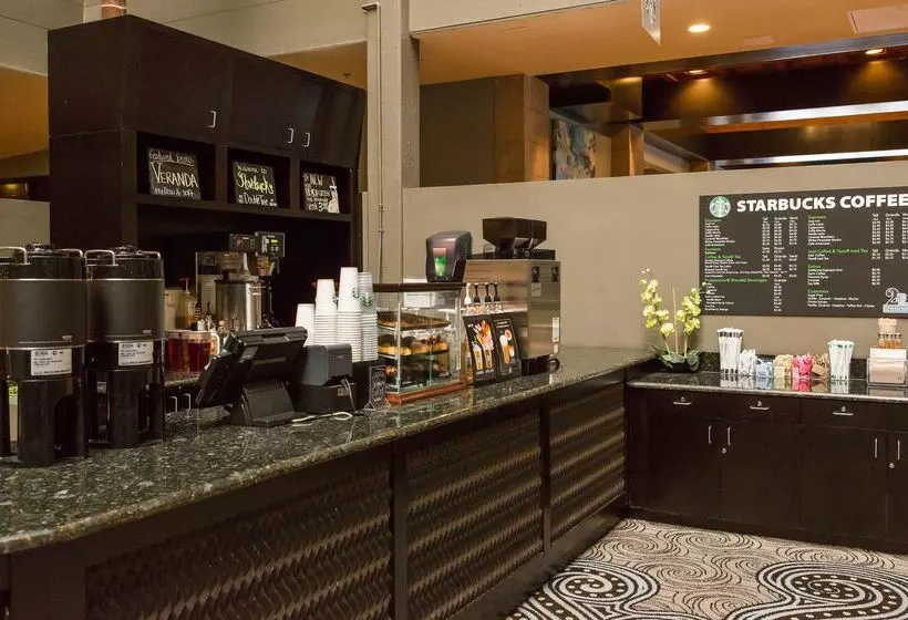 Doubletree Suites By Hilton Hotel Mcallen