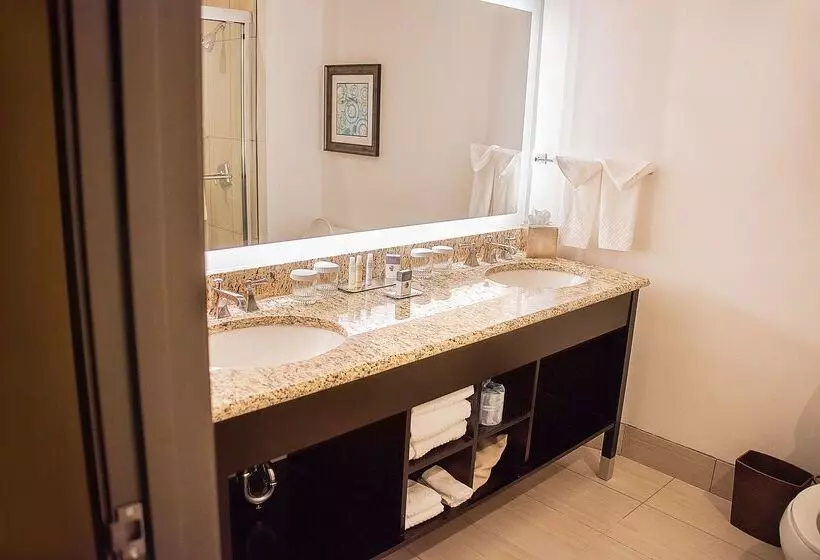 Doubletree Suites By Hilton Hotel Mcallen